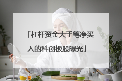 杠杆资金大手笔净买入的科创板股曝光
